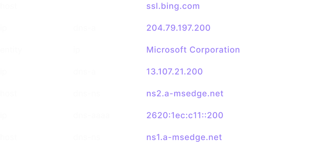 dns data
